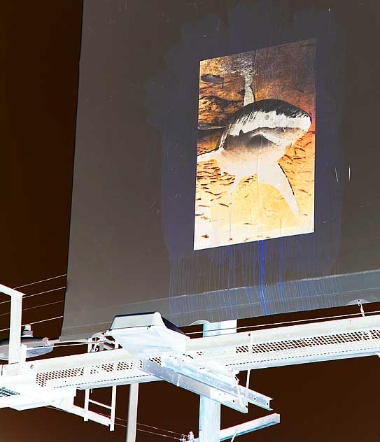 Shark poster on white billboard - Sunset Boulevard halfway between Hollywood and downtown Los Angeles