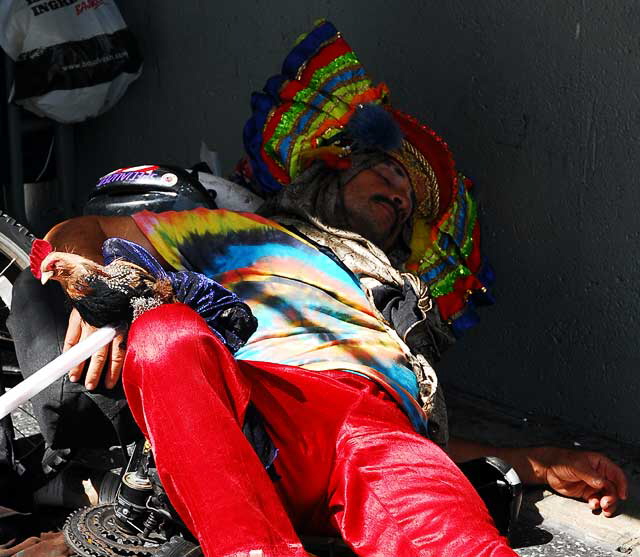 Man in pirate costume asleep on Hollywood Boulevard