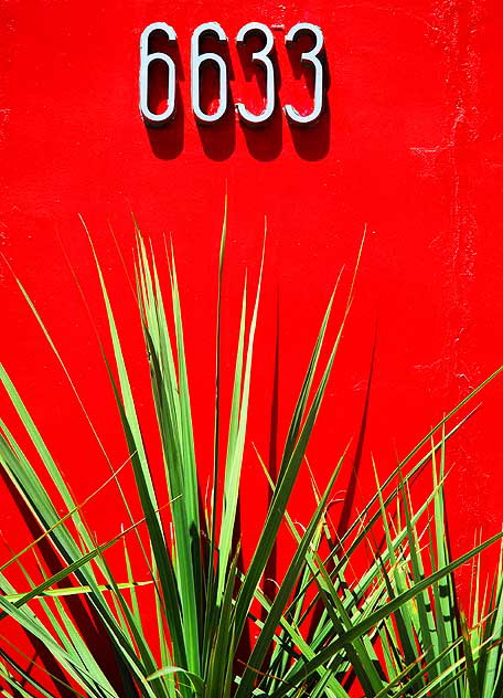 Dracaena and red wall, 6633 Hollywood Boulevard