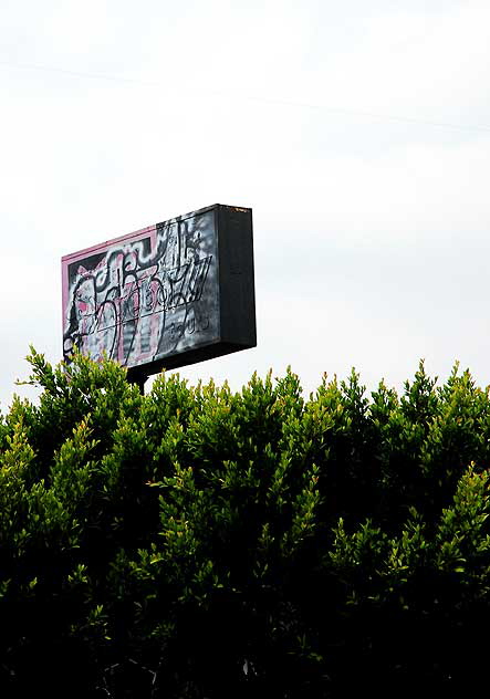 Billboard graphics, Fairfax Avenue, just north of Wilshire