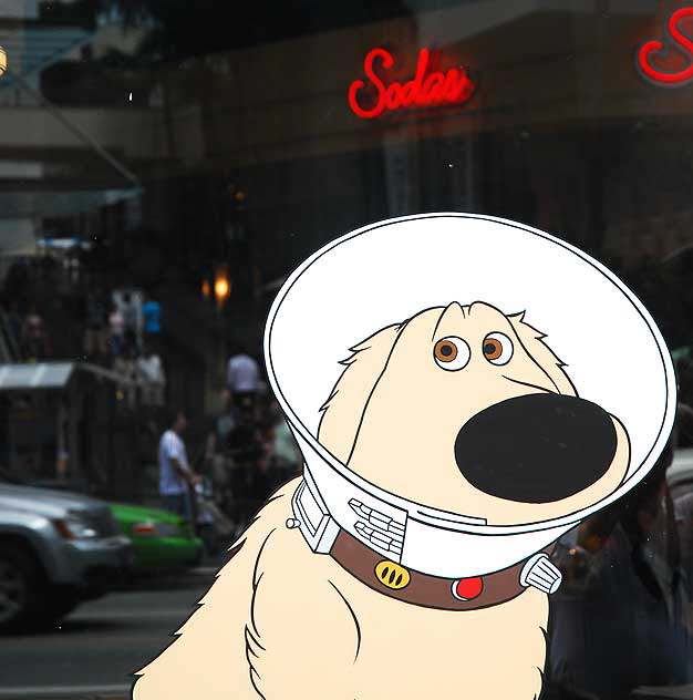 Dog with collar pained on the window of the Disney Store, Hollywood Boulevard