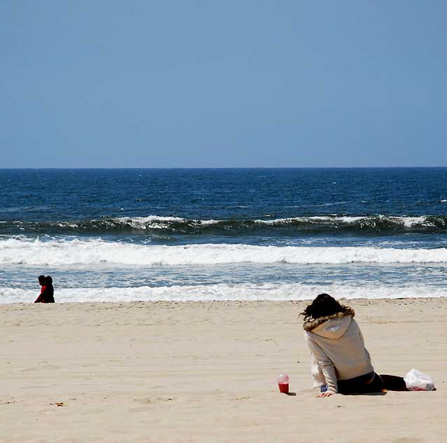 Venice Beach