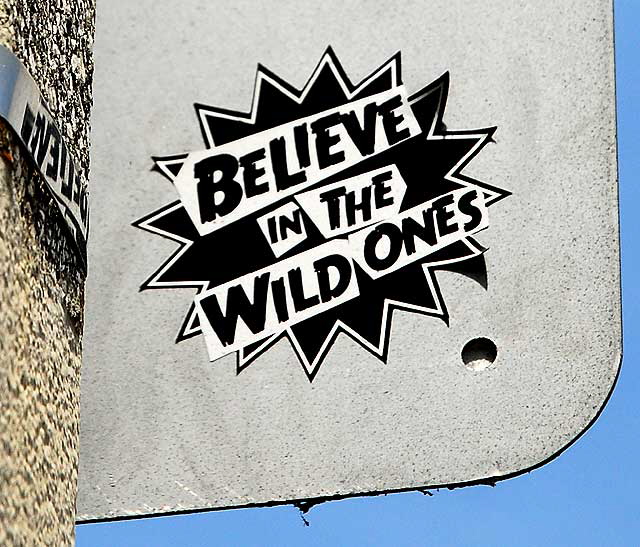 Believe in the Wild Ones - sticker, South La Brea, Los Angeles