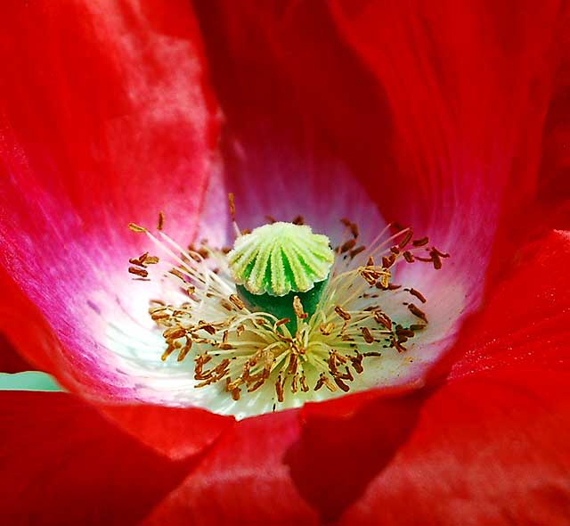Very Red