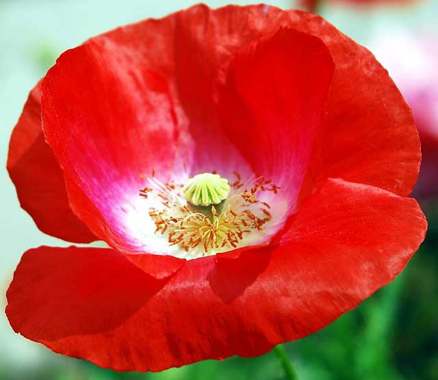 Very Red