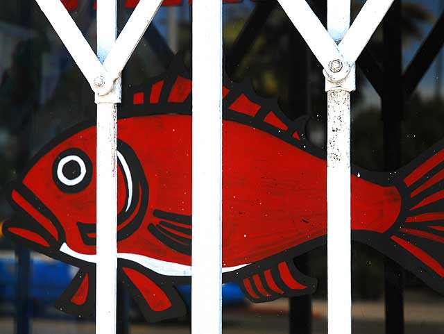 Framed Red Fish - Melrose Avenue