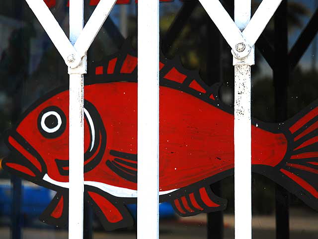 Framed Red Fish - Melrose Avenue
