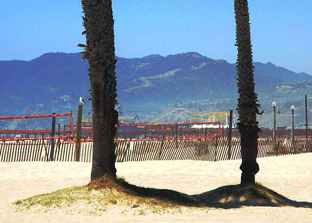 Ocean Beach Park just south of Santa Monica