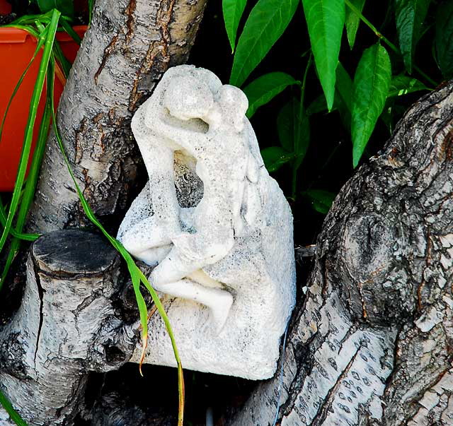 Rodin's Kiss - in a Los Angeles tree