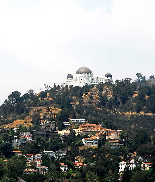 View from Barnsdall Park, Hollywood Boulevard at Vermont
