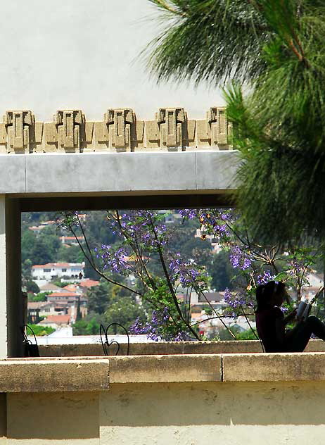 View from Barnsdall Park, Hollywood Boulevard at Vermont