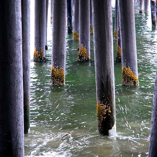 Under the Malibu Pier