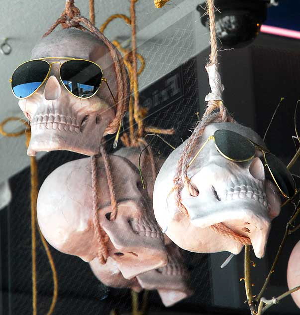 Skulls in window of Pop Killer, Sunset Boulevard