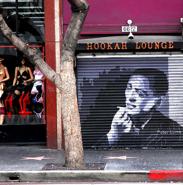 Peter Lorre, Hookah Lounge, Hollywood Boulevard