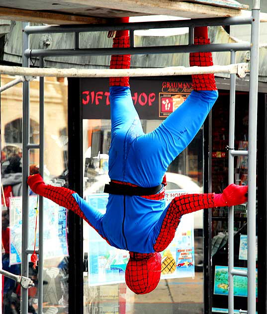 Spiderman impersonator, Hollywood Boulevard