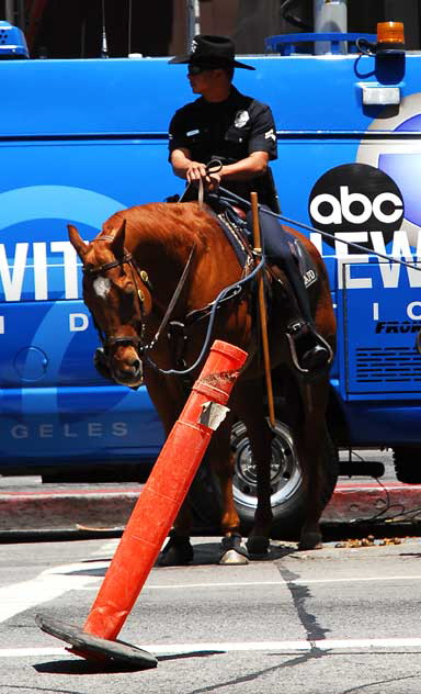 The scene on Hollywood Boulevard on Friday, June 26, 2009 - the day after the death of Michael Jackson - LAPD horses