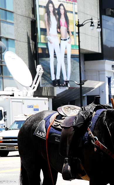 The scene on Hollywood Boulevard on Friday, June 26, 2009 - the day after the death of Michael Jackson - LAPD horse