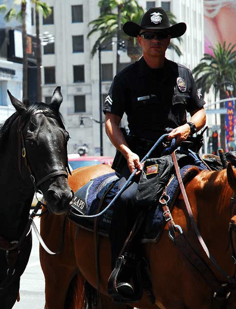 The scene on Hollywood Boulevard on Friday, June 26, 2009 - the day after the death of Michael Jackson - LAPD horses