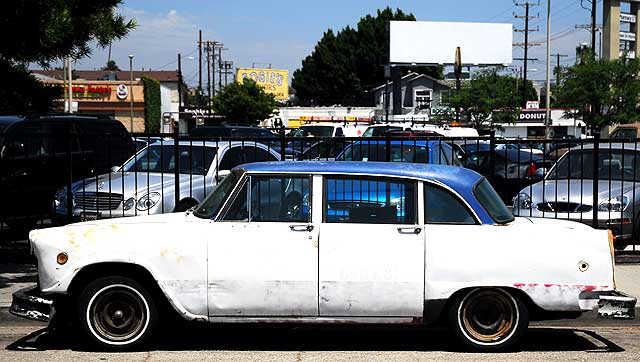 Old Checker parked south of Hollywood