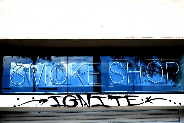 Ignite Smoke Shop (with palms), Hollywood Boulevard