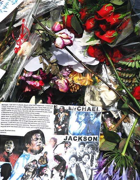 Michael Jackson's star on the Hollywood Walk of Fame - Tuesday, June 30, 2009