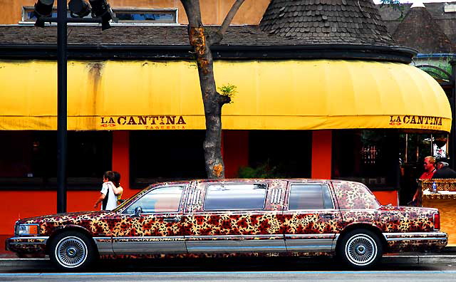 The Leopard Limousine, Hollywood Boulevard