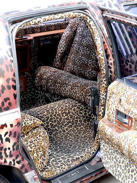 The Leopard Limousine, Hollywood Boulevard