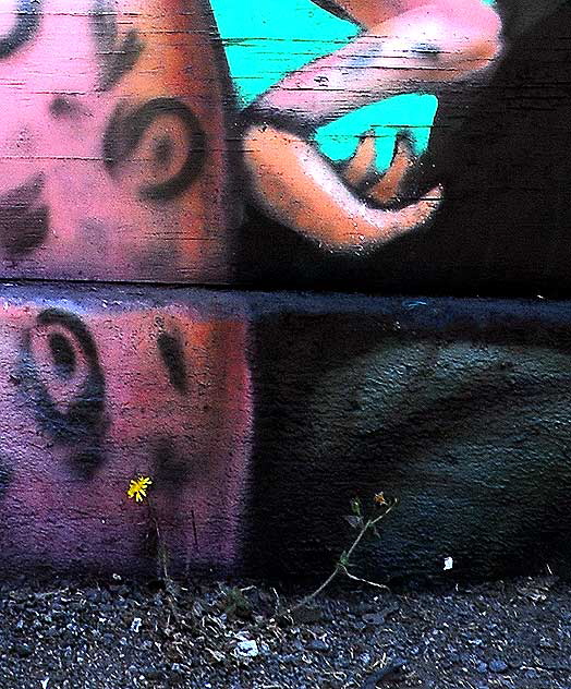 Alley graffiti behind Melrose Avenue