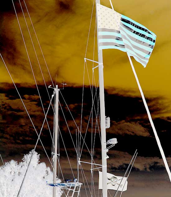 Marina del Rey, California, Flags - Negative Print 