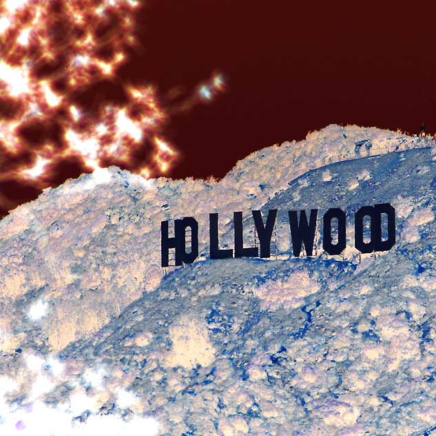 The Hollywood Sign - Negative Print