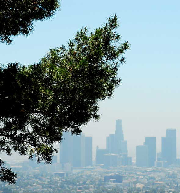 Los Angeles as seen from the Griffith Park Observatory high above Hollywood