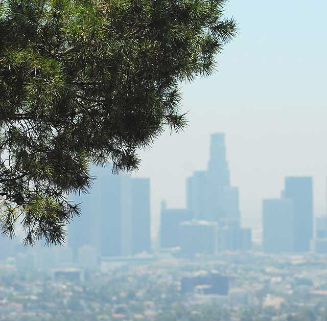 Los Angeles as seen from the Griffith Park Observatory high above Hollywood