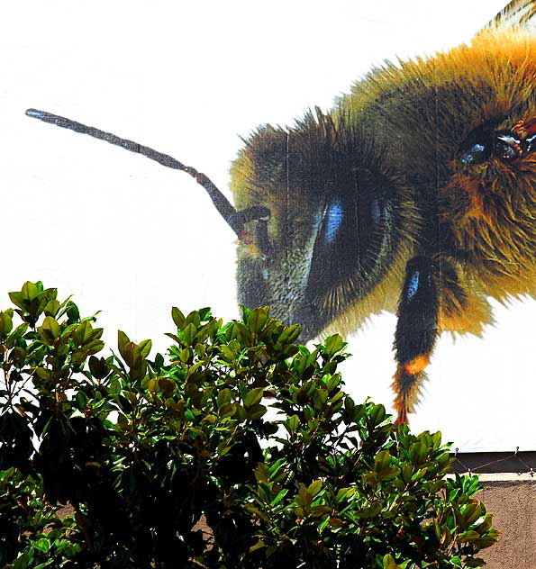 Giant Bee Graphic, Selma Avenue at North Cahuenga Boulevard, Hollywood