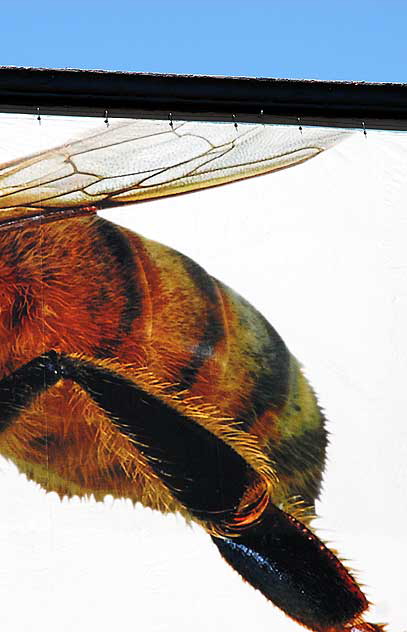 Giant Bee Graphic, Selma Avenue at North Cahuenga Boulevard, Hollywood