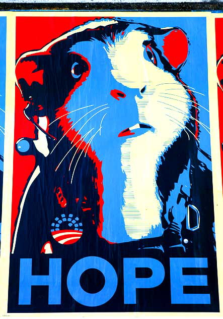 Shepard Fairey "Hope Gerbil" - Wilcox and Selma, Hollywood