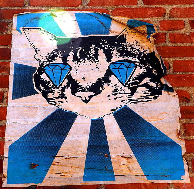 Cat with Diamond Eyes, with lens flare - graphic in an alley off La Brea at First, Los Angeles