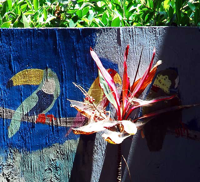 Bird painting in the garden of an old bungalow on Hudson, a few feet north of Hollywood Boulevard