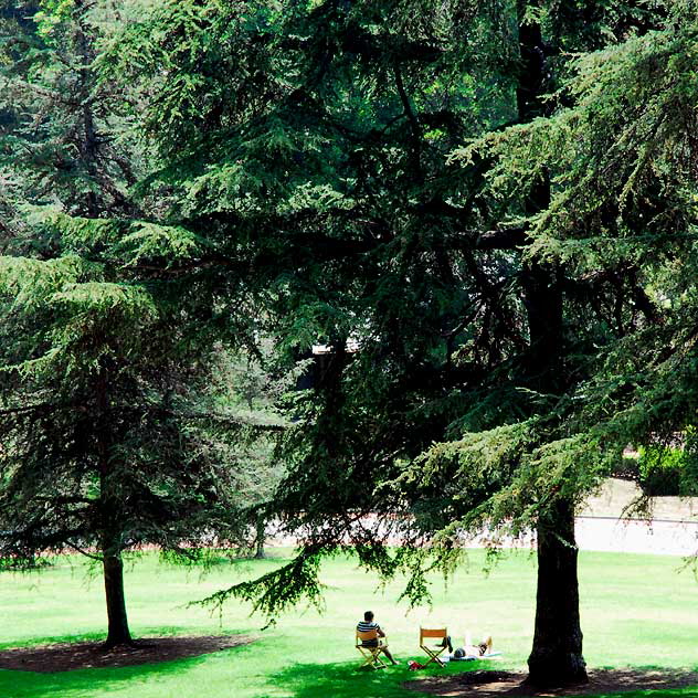 Front Lawn, August Noon - the gardens of Greystone Mansion in Beverly Hills