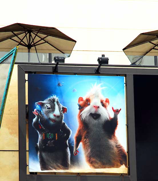 Disney G-Force advertisement, Hollywood Boulevard