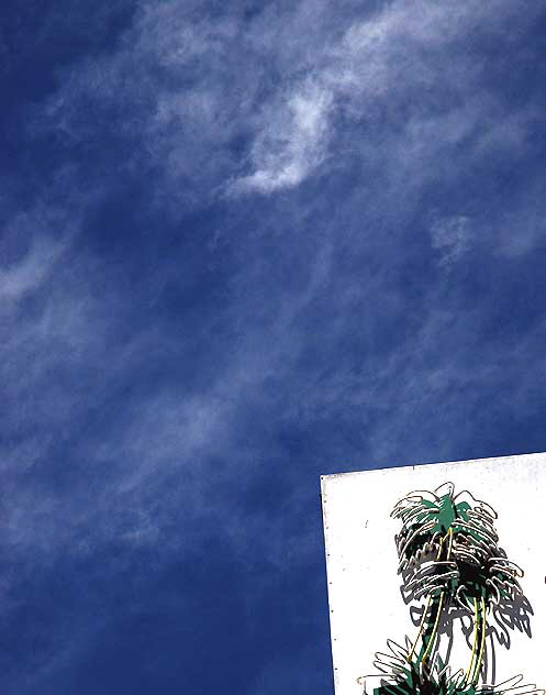 Neon palm, restaurant on Las Palmas, Hollywood