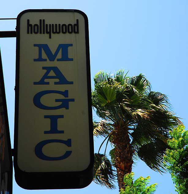 Hollywood Magic and Palm and Mimosa Trees, Hollywood Boulevard