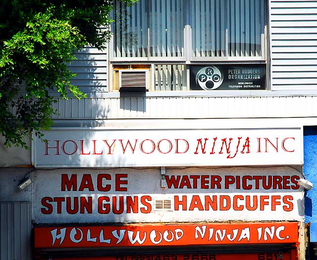 "Hollywood Ninja" - 6511 Hollywood Boulevard