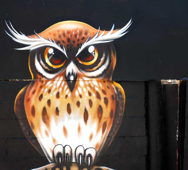 Owl image on black fence