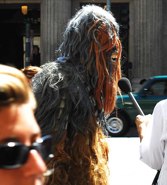 Media interview of Chewbacca impersonator, Hollywood Boulevard, Thursday, September 10, 2009