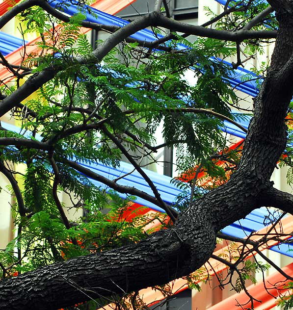 Los Angeles County Museum of Art (LACMA), Ahmanson Building, Choi Jeong-Hwa, bright fabric ribbons - a work called "Welcome"