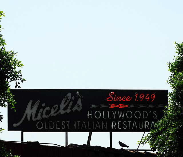 Miceli's, Hollywood