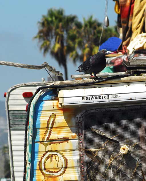 Hippie RV, Venice Beach 