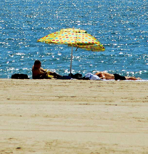 Venice Beach, September 16, 2009