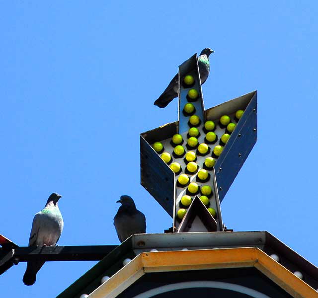 Three Pigeons and Star, Melrose Avenue at Fuller