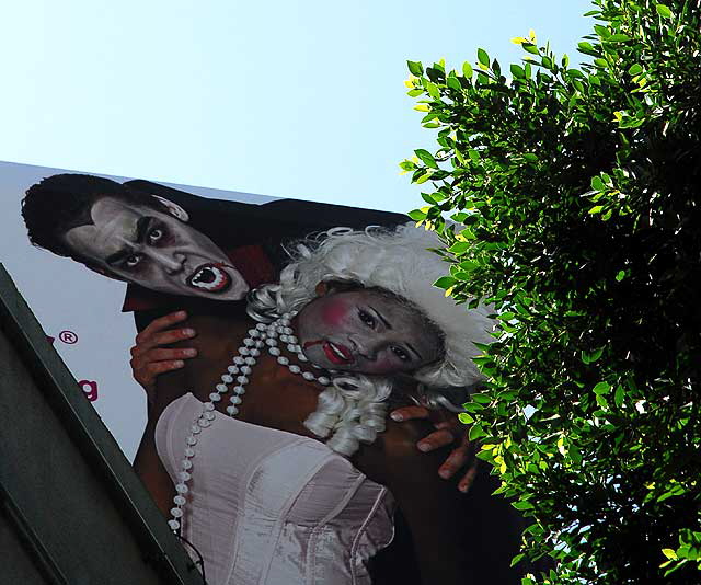 Vampire billboard, Hollywood Boulevard